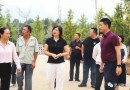 【漓江上游福地，古韵神奇灵川】赵奇玲到海洋乡调研、慰问